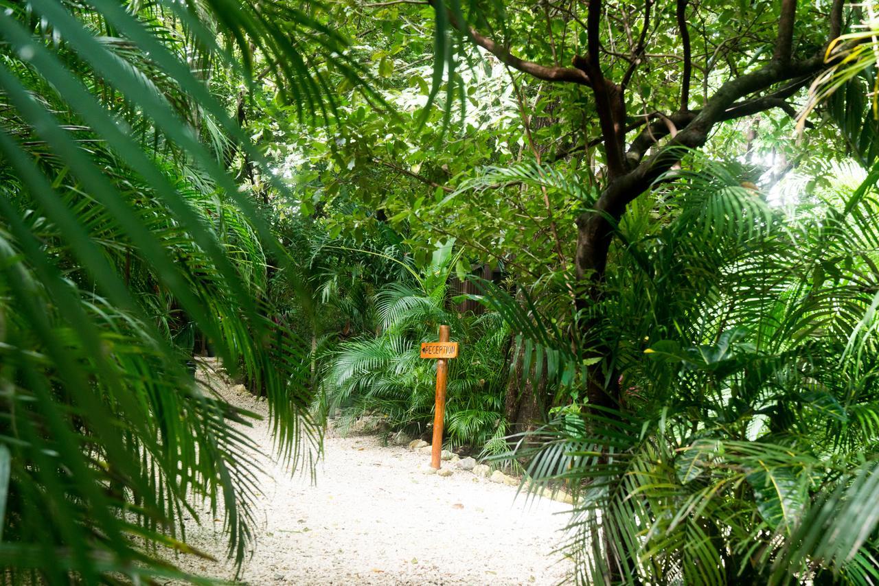 נוסארה Green Sanctuary Hotel מראה חיצוני תמונה