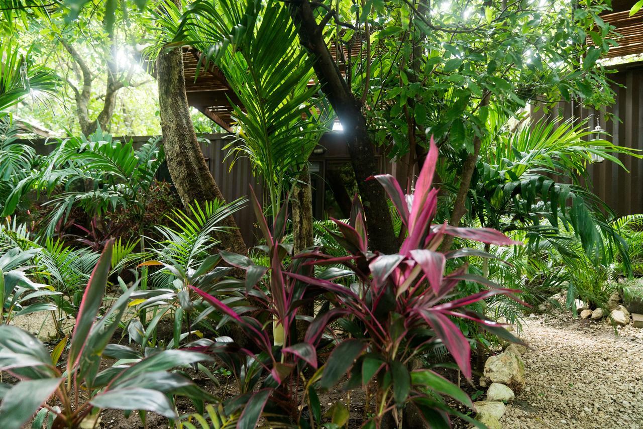 נוסארה Green Sanctuary Hotel מראה חיצוני תמונה