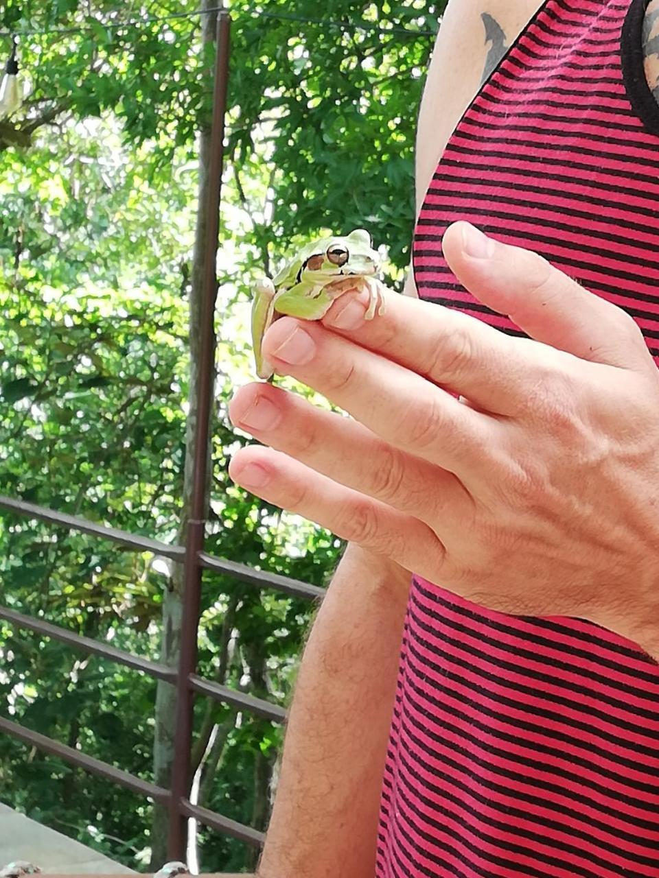 נוסארה Green Sanctuary Hotel מראה חיצוני תמונה